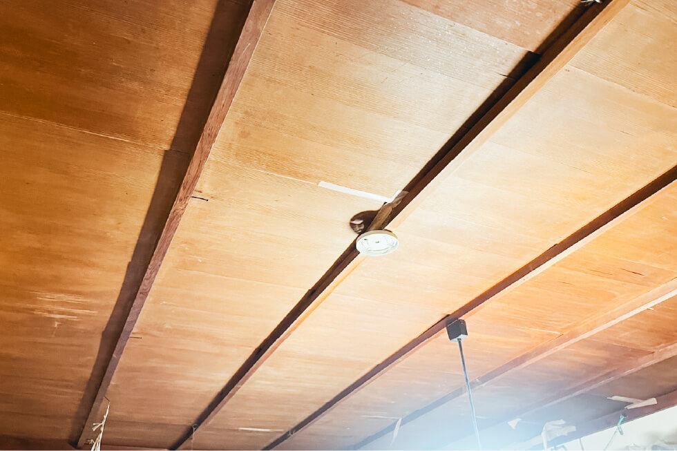 天井クリニーニングAFTER